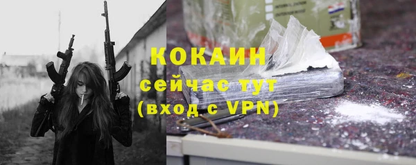 ПСИЛОЦИБИНОВЫЕ ГРИБЫ Корсаков