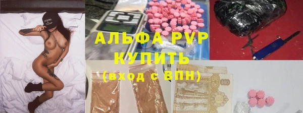 ПСИЛОЦИБИНОВЫЕ ГРИБЫ Корсаков