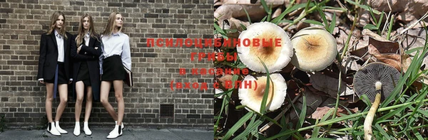 эйфоретик Коряжма