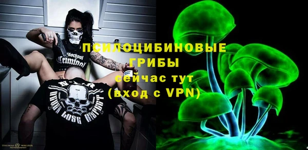 прущий лед Костерёво