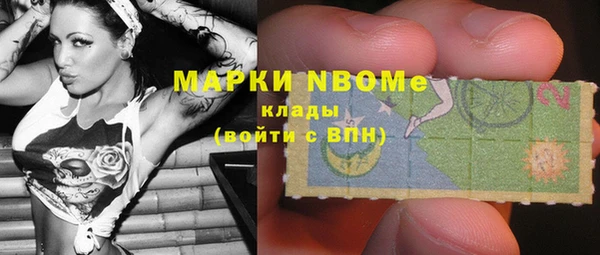 ПСИЛОЦИБИНОВЫЕ ГРИБЫ Корсаков